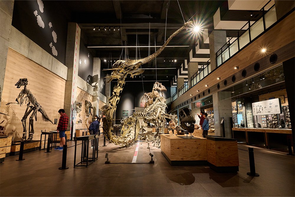 🦕 고쇼우라 공룡의 섬 박물관(고쇼우라 쿄류노시마 하쿠부츠칸)